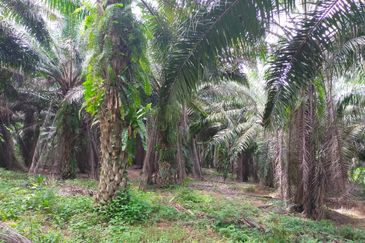 JALAN K.KLAWANG-/TITI