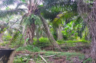 JALAN K.KLAWANG-/TITI