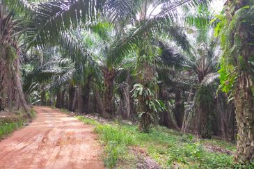 JALAN K.KLAWANG-/TITI
