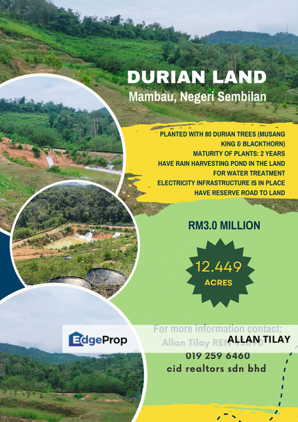 Mambau Freehold Non Bumi Durian Plantation, Negeri Sembilan, Seremban