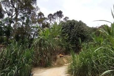 Raub Sungai Chetang Dusun Land