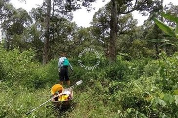 Raub Sungai Chetang Dusun Land