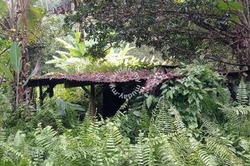 Raub Sungai Chetang Dusun Land