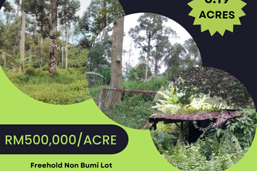 Raub Sungai Chetang Dusun Land