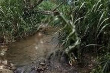 Raub Sungai Chetang Dusun Land