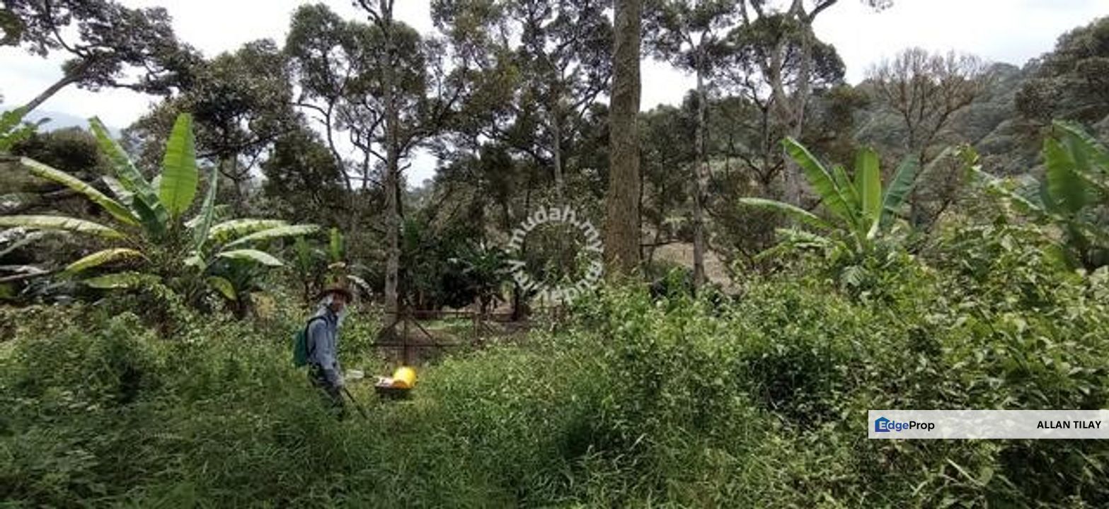 Raub Sungai Chetang Dusun Land, Pahang, Raub