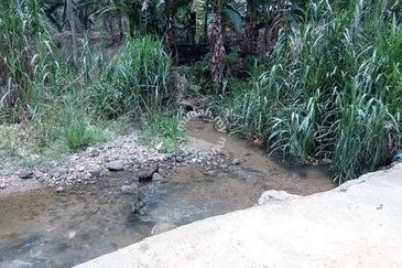 Raub Sungai Chetang Dusun Land