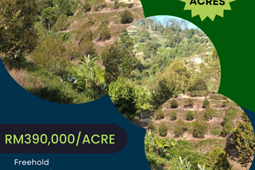 Bentong Gementi Durian Land