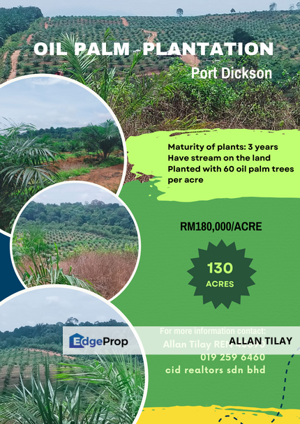 Port Dickson Freehold Oil Palm Plantation, Negeri Sembilan, Port Dickson