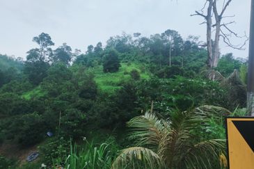 Bentong Jalan Tras Dusun Land