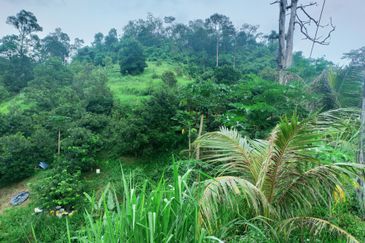 Bentong Jalan Tras Dusun Land