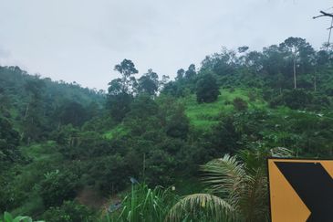 Bentong Jalan Tras Dusun Land