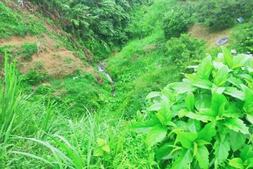 Bentong Jalan Tras Dusun Land