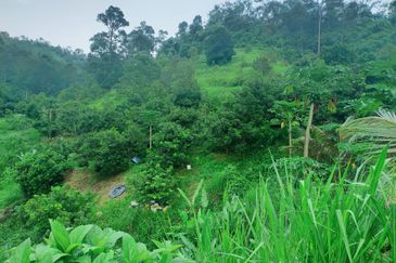 Bentong Jalan Tras Dusun Land