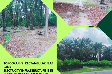 Air Kuning Kampar Freehold Non Bumi Oil Palm Land