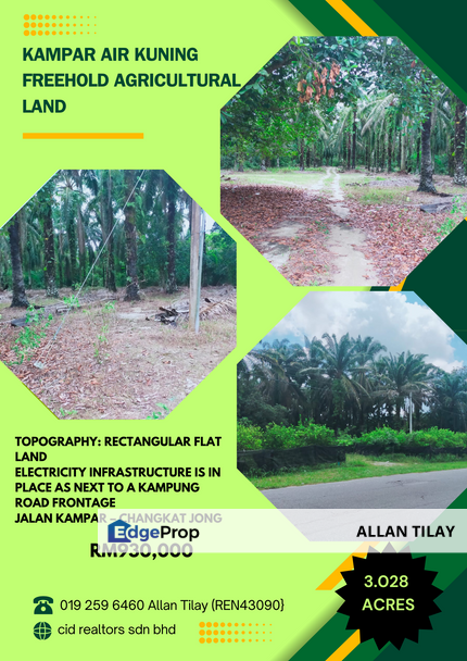 Air Kuning Kampar Freehold Non Bumi Oil Palm Land, Perak, Kampar