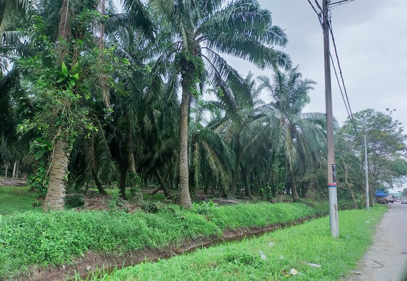 Kamunting Freehold Vacant Agricultural Land