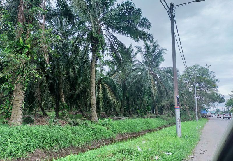 Kamunting Freehold Vacant Agricultural Land