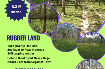 Tanah Getah @ Segamat