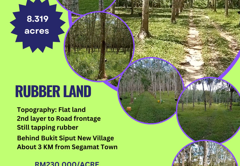 Tanah Getah @ Segamat