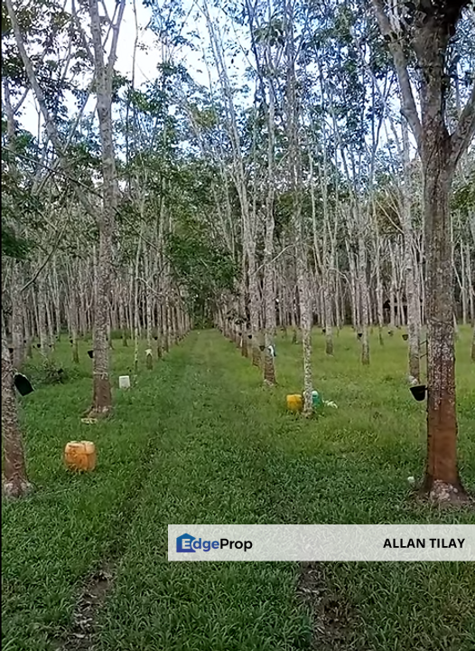 Segamat Tanah Getah, Johor, Segamat