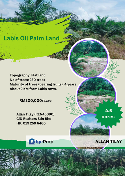 Labis Oil Palm Land, Johor, Segamat