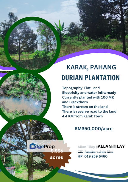 Karak Durian Plantation, Pahang, Karak