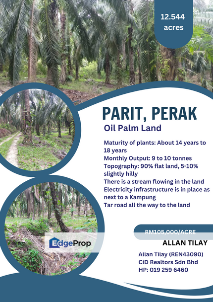 Parit Perak Freehold Non Bumi Oil Palm Land, Perak, Parit