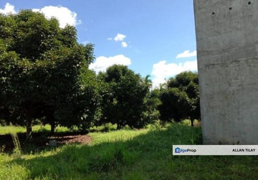 Lepar Pekan Agricultural Land, Pahang, Pekan