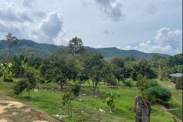 Bentong Durian Land