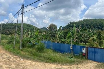 Bentong Durian Land