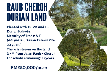 Raub Cheroh Durian Land