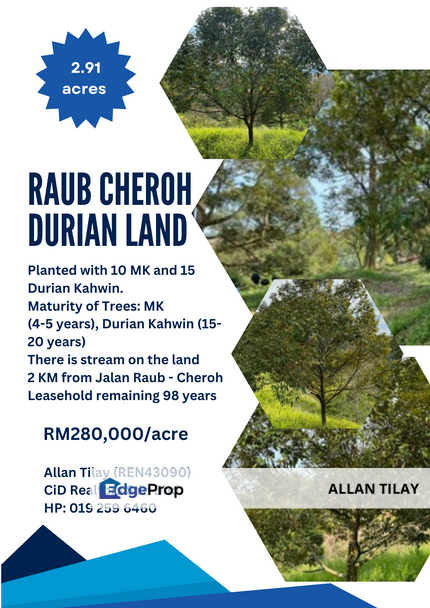 Raub Cheroh Durian Land, Pahang, Raub