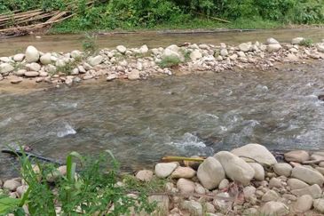 Bentong Janda Baik Dusun Land