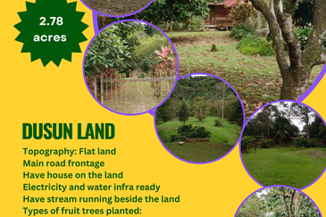 Bentong Janda Baik Dusun Land