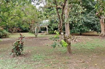 Bentong Janda Baik Dusun Land