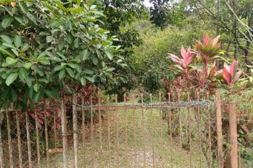 Bentong Janda Baik Dusun Land