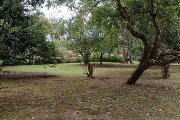 Bentong Janda Baik Dusun Land