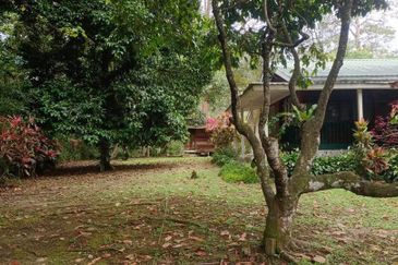 Bentong Janda Baik Dusun Land