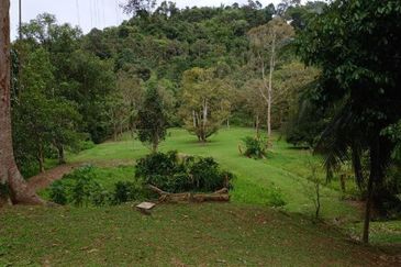 Bentong Janda Baik Dusun Land