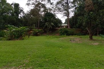 Bentong Janda Baik Dusun Land