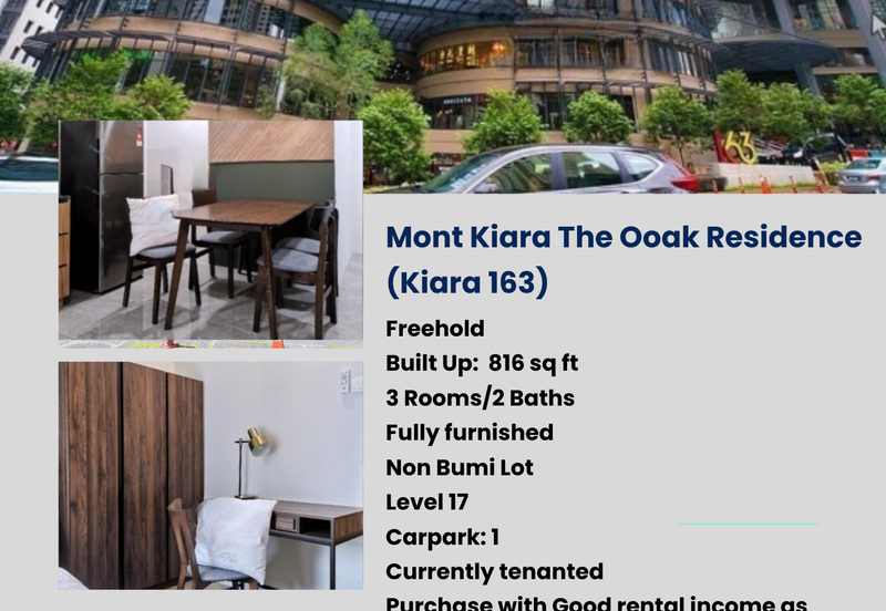 The Ooak (Kiara 163)