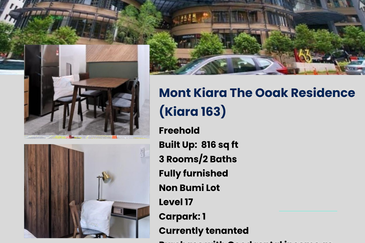 The Ooak (Kiara 163)