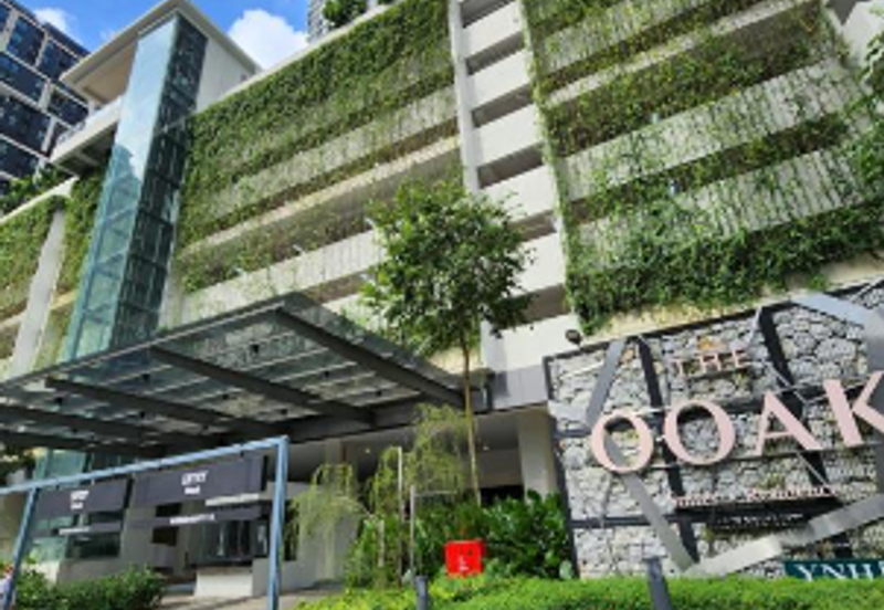 The Ooak (Kiara 163)