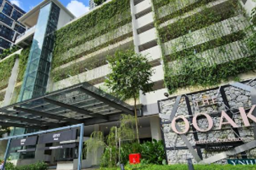 The Ooak (Kiara 163)