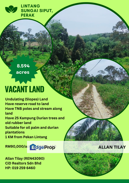 Sungai Siput Lintang Vacant Land, Perak, Kuala Kangsar