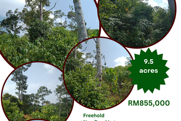 Raub Dong Vacant Agricultural Land