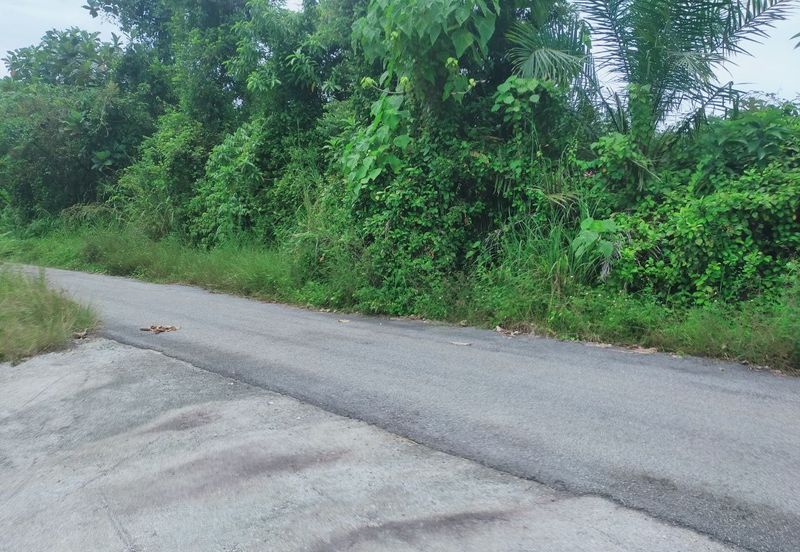 Kerling Vacant Agricultural Land