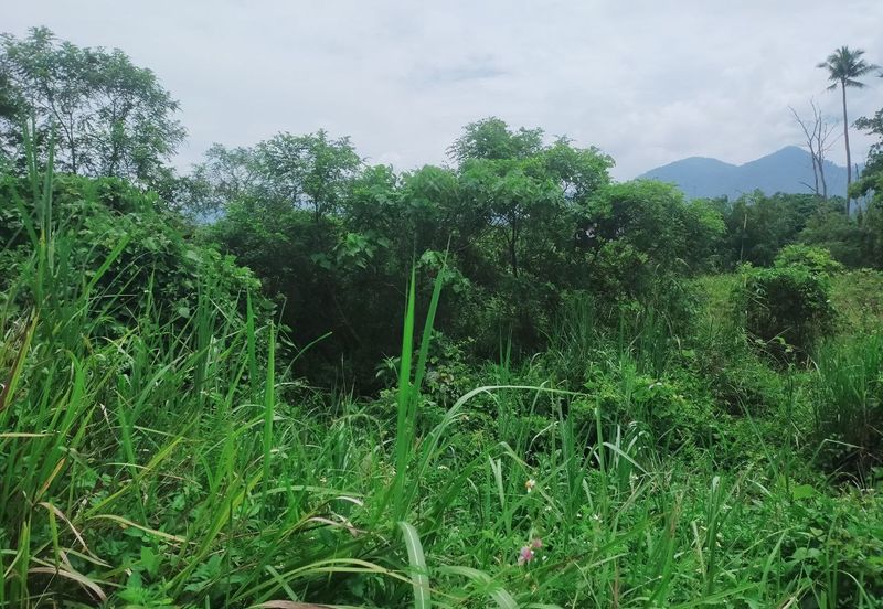 Kerling Vacant Agricultural Land