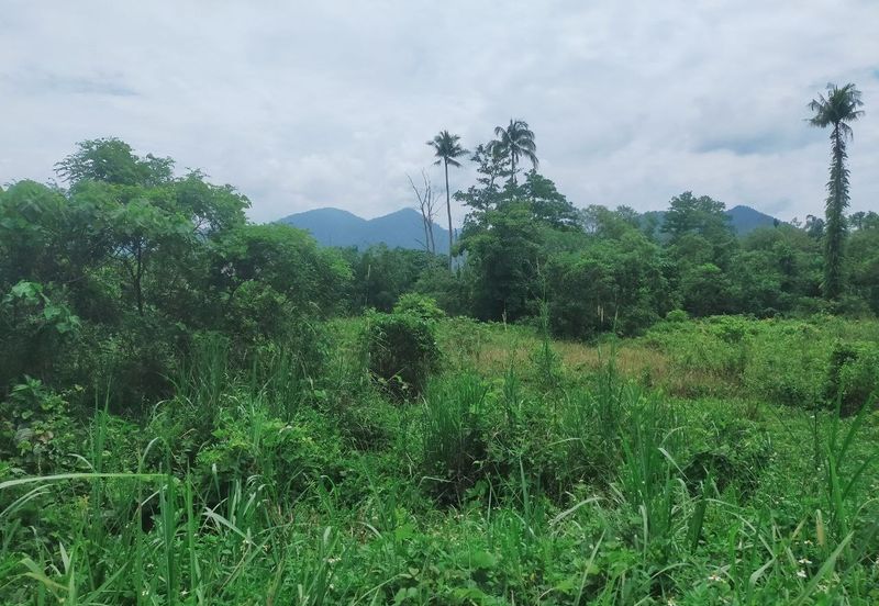Kerling Vacant Agricultural Land